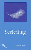 Seelenflug (eBook, ePUB)