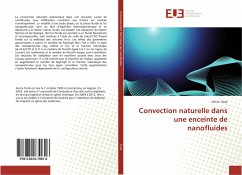 Convection naturelle dans une enceinte de nanofluides - Trodi, Amira