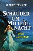 Schauder um Mitternacht (eBook, ePUB)