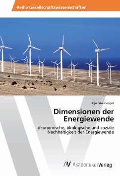 Dimensionen der Energiewende - Grauberger, Lija