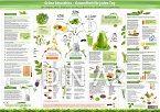 Grüne Smoothies Poster - Gesundheit für jeden Tag