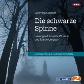 Die schwarze Spinne (MP3-Download)