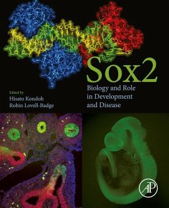 Cover Sox2 (eBook, ePUB)