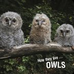 How they live... Owls (eBook, ePUB)