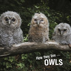 How they live... Owls (eBook, ePUB) - Esenko, Ivan; Withrington, David