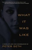 What It Was Like (eBook, ePUB) What It Was Like (eBook, ePUB)