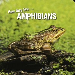 How they live... Amphibians (eBook, ePUB) - Esenko, Ivan; Withrington, David