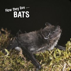 How they live... Bats (eBook, ePUB) - Withrington, David; Esenko, Ivan