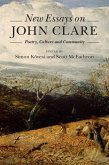 New Essays on John Clare (eBook, ePUB)