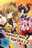Righteous Ninja - Haruka 2 Righteous Ninja - Haruka 2