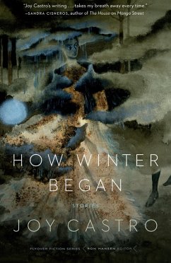 How Winter Began (eBook, ePUB) - Castro, Joy