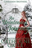 Unintended Journey (eBook, ePUB)