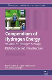 Compendium of Hydrogen Energy (eBook, ePUB)