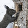How they live... Rodents (eBook, ePUB) - Bild 1