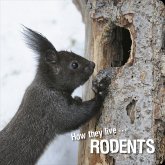 How they live... Rodents (eBook, ePUB)