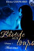 La Bastide aux loups 1 - Âmes soeurs (Les Farkasok, #1) (eBook, ePUB)
