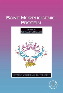 Cover Bone Morphogenic Protein (eBook, ePUB)