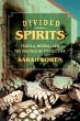 Divided Spirits (eBook, ePUB) - Bild 1
