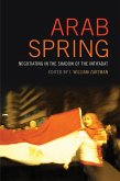 Arab Spring (eBook, ePUB) Arab Spring (eBook, ePUB)
