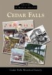 Cedar Falls (eBook, ePUB) - Bild 1