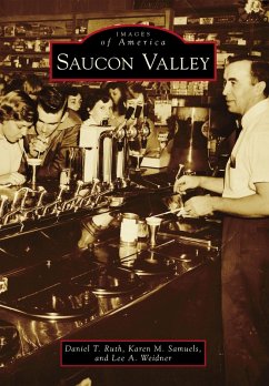 Saucon Valley (eBook, ePUB) - Ruth, Daniel T.