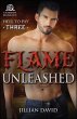 Flame Unleashed (eBook, ePUB) - Bild 1