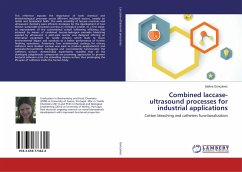 Combined laccase-ultrasound processes for industrial applications