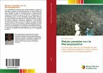 Metais pesados no rio Maranguapinho Metais pesados no rio Maranguapinho