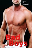 Bad Boys (eBook, ePUB)