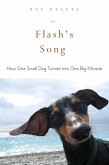 Flash's Song (eBook, ePUB)