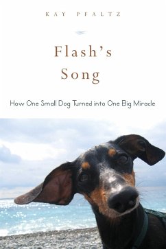 Cover Flash's Song (eBook, ePUB)