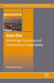 Iron Ore (eBook, ePUB)