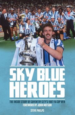 Sky Blue Heroes (eBook, ePUB) - Phelps, Steve