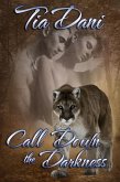 Call Down The Darkness (eBook, ePUB)