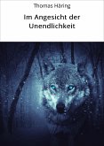 Im Angesicht der Unendlichkeit (eBook, ePUB)