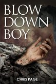 Blow Down Boy (eBook, PDF)