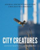 City Creatures (eBook, ePUB)