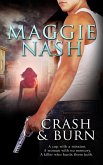 Crash and Burn (eBook, ePUB)