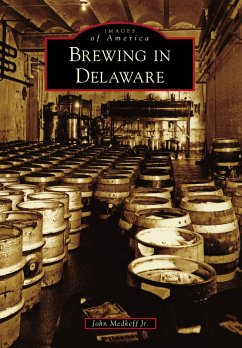 Brewing in Delaware (eBook, ePUB) - Jr., John Medkeff