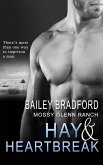 Hay and Heartbreak (eBook, ePUB)