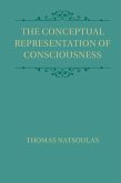 Conceptual Representation of Consciousness (eBook, PDF)