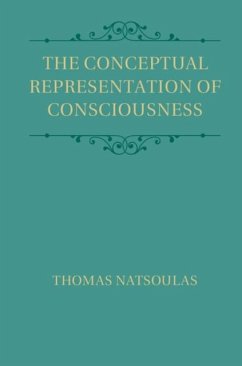 Conceptual Representation of Consciousness (eBook, PDF) - Natsoulas, Thomas