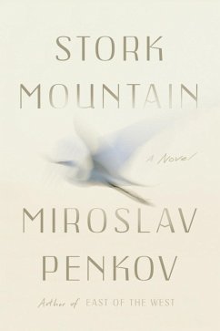 Stork Mountain (eBook, ePUB) - Penkov, Miroslav