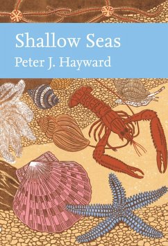 Shallow Seas (eBook, ePUB) - Hayward, Peter