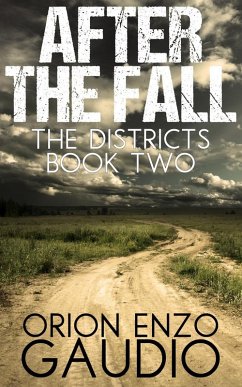Cover After the Fall (The Districts, #2) (eBook, ePUB)