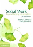 Social Work (eBook, PDF)