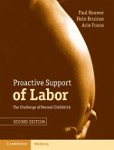 Proactive Support of Labor (eBook, PDF)