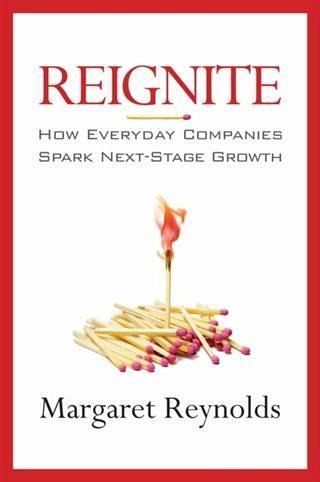 Reignite (eBook, ePUB)