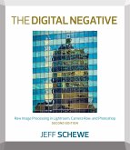 Digital Negative, The (eBook, ePUB)