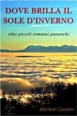 Dove brilla il sole d'inverno (eBook, ePUB)